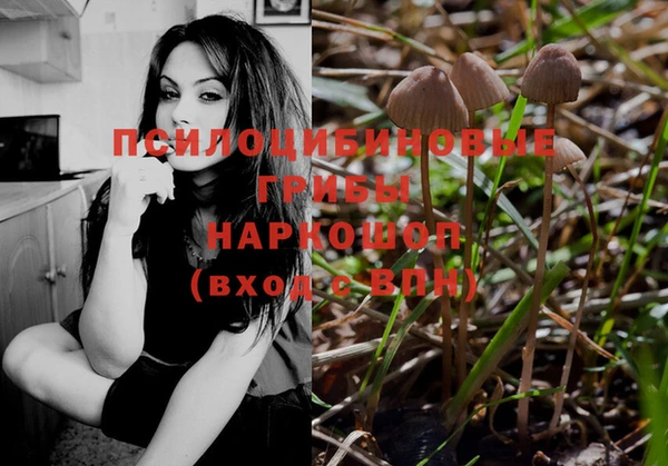 бошки Аркадак