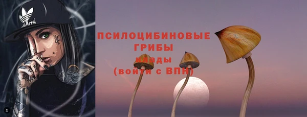 бошки Аркадак