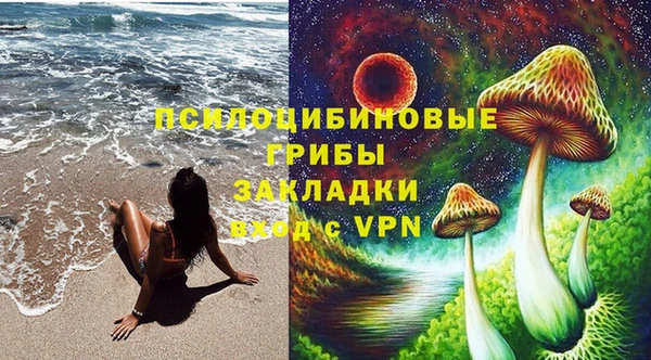 spice Алзамай